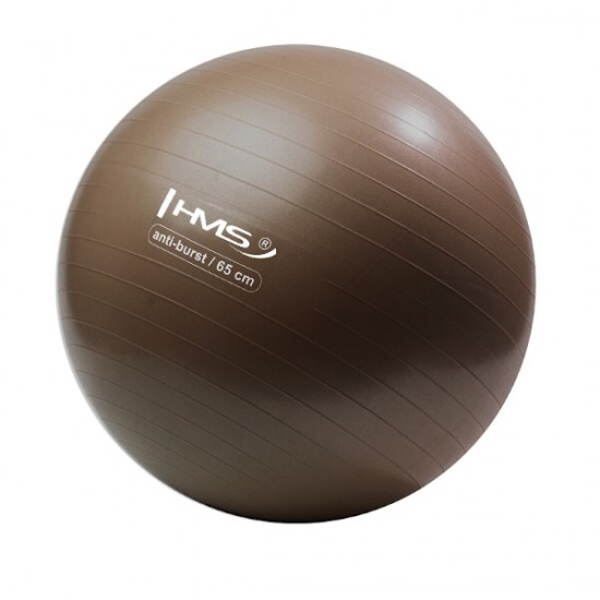 Gymnastický míč HMS YB02 65 cm bronzový 