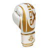 Boxerské rukavice DBX BUSHIDO DBD-B-2 v1 