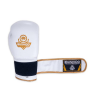 Boxerské rukavice DBX BUSHIDO DBD-B-2 