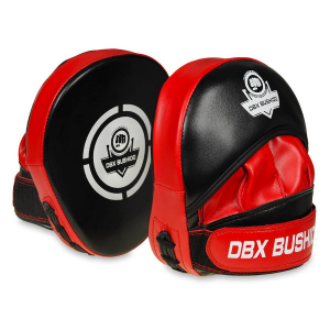 Boxerské lapy DBX BUSHIDO mini 