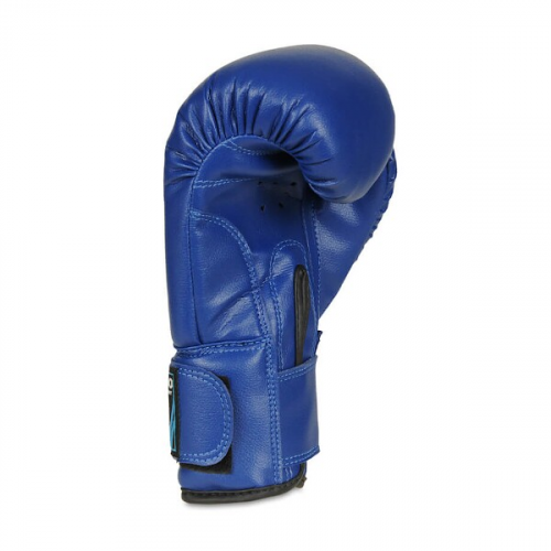 Boxerské rukavice DBX BUSHIDO ARB-407v4 6 oz. 