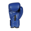 Boxerské rukavice DBX BUSHIDO ARB-407v4 6 oz. 