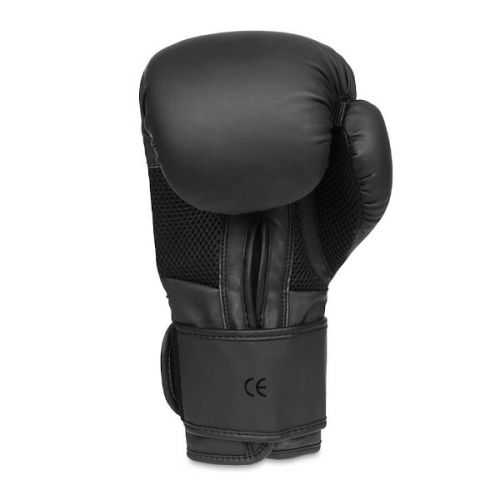 Boxerské rukavice DBX BUSHIDO B-2v12 6oz. 