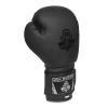 Boxerské rukavice DBX BUSHIDO B-2v12 6oz. 