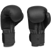 Boxerské rukavice DBX BUSHIDO B-2v12 6oz. 