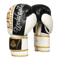 B-2V16 10 OZ Boxerské rukavice DBX BUSHIDO 10oz B-2V16 10 OZ Boxerské rukavice DBX BUSHIDO 10oz