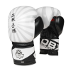 Boxerské rukavice DBX BUSHIDO B-2v8 