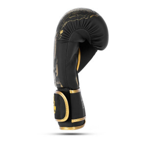 GOLD DRAGON 16 OZ BOXERSKÉ RUKAVICE DBX BUSHIDO  