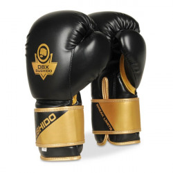B-2V10 8 OZ. Boxerské rukavice DBX BUSHIDO 8oz. B-2V10 8 OZ. Boxerské rukavice DBX BUSHIDO 8oz.