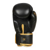 B-2v17 16 OZ Boxerské rukavice DBX BUSHIDO 16oz. 16oz. 