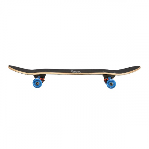 HMS Skateboard NILS Extreme CR3108 SA Monkey 