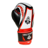 Boxerské rukavice DBX BUSHIDO ARB407v2 6 oz. 