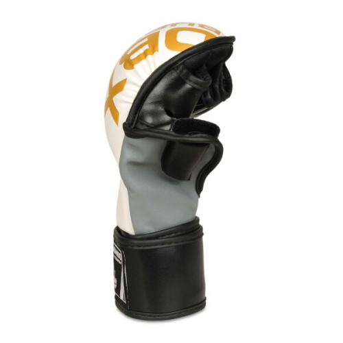 MMA rukavice DBX BUSHIDO ARM-2011b 