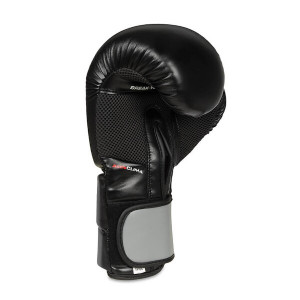 Boxerské rukavice DBX BUSHIDO B-2v9 10oz. 