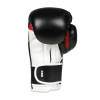 Boxerské rukavice DBX BUSHIDO B-3W Pro 