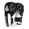 Boxerské rukavice DBX BUSHIDO B-3W Pro 